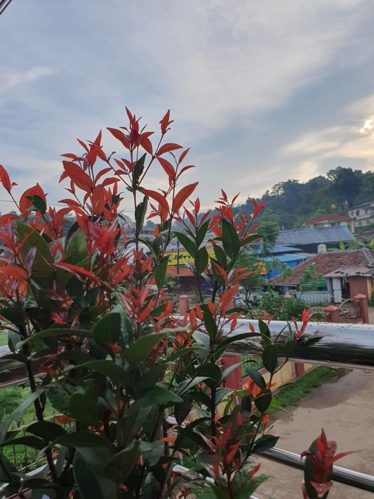 Varam Homestay Madikeri Luaran gambar